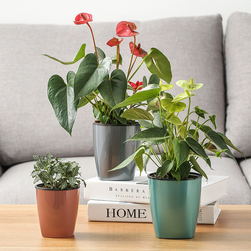 Flowerpot