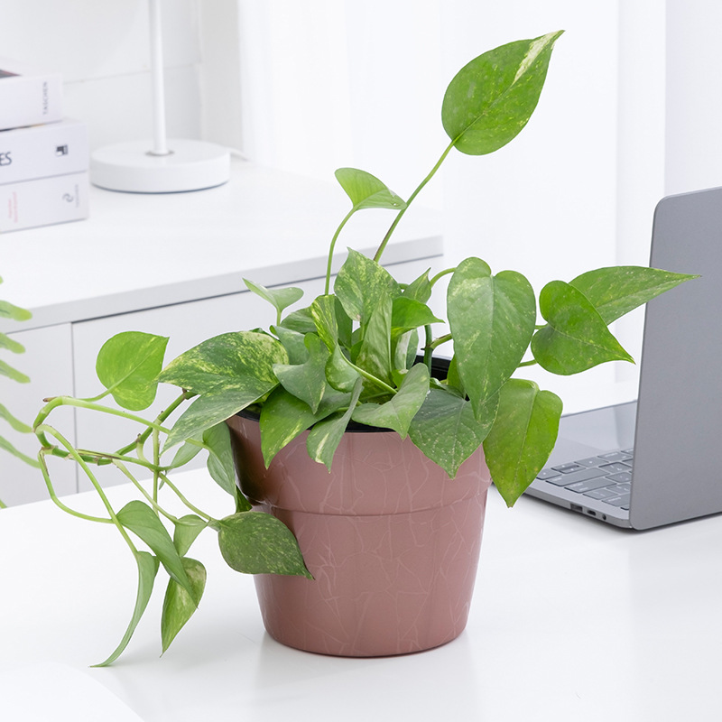 Flowerpot